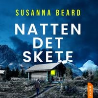 Produktbild: Natten det skete