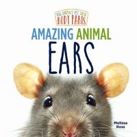 Produktbild: Amazing Animal Ears