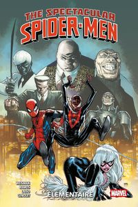 Produktbild: The spectacular Spider-Men