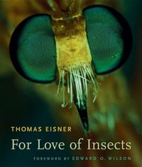 Produktbild: For Love of Insects
