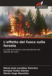 Produktbild: L'effetto del fuoco sulla foresta