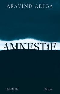 Produktbild: Amnestie