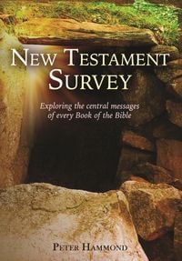Produktbild: New Testament Survey
