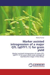 Produktbild: Marker assisted introgression of a major QTL (qDTY1.1) for grain yield