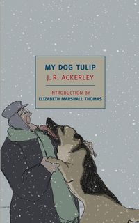Produktbild: My Dog Tulip
