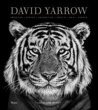 Produktbild: David Yarrow Photography