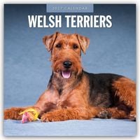 Produktbild: Welsh Terriers &ndash; Welsh Terrier 2027 &ndash; 16-Monatskalender