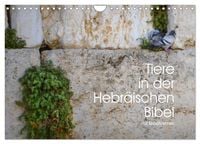 Produktbild: Tiere in der Hebr&auml;ischen Bibel mit Bibelversen (Wandkalender 2026 DIN A4 quer), CALVENDO Monatskalender