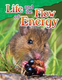 Produktbild: Life and the Flow of Energy