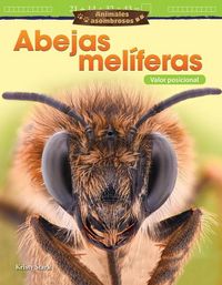 Produktbild: Animales Asombrosos: Abejas Mel&iacute;feras