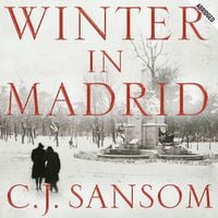 Produktbild: Winter in Madrid