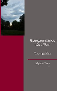 Produktbild: Botschaften zwischen den Welten