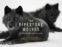 Produktbild: The Pipestone Wolves