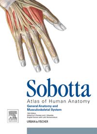 Produktbild: Sobotta Atlas of Human Anatomy, Vol.1, 15th ed., English/Latin