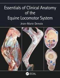 Produktbild: Essentials of Clinical Anatomy of the Equine Locomotor System