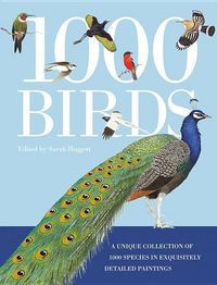 Produktbild: 1000 Birds
