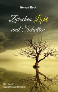 Produktbild: Zwischen Licht und Schatten