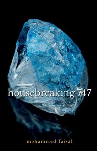 Produktbild: Housebreaking 747