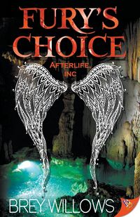Produktbild: Fury's Choice