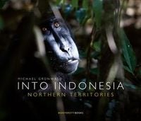 Bild vom Artikel Into Indonesia vom Autor Michael Grünwald