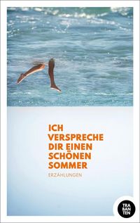 Ich verspreche dir einen schönen Sommer von Fabian Leonhard
