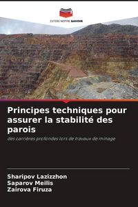 Produktbild: Principes techniques pour assurer la stabilit&eacute; des parois