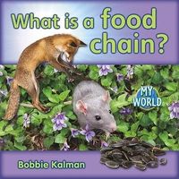 Produktbild: What Is a Food Chain