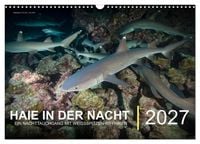 Produktbild: Haie in der Nacht (Wandkalender 2027 DIN A3 quer), CALVENDO Monatskalender