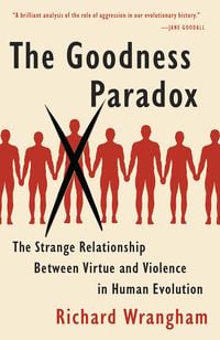 Produktbild: The Goodness Paradox