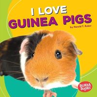 Produktbild: I Love Guinea Pigs