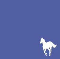 Bild vom Artikel White Pony vom Autor Deftones