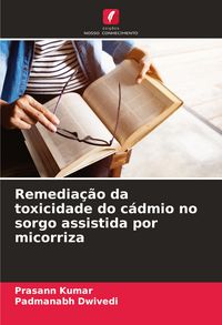 Produktbild: Remedia&ccedil;&atilde;o da toxicidade do c&aacute;dmio no sorgo assistida por micorriza