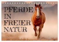 Produktbild: Pferde in freier Natur (Tischkalender 2026 DIN A5 quer), CALVENDO Monatskalender