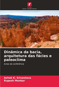 Produktbild: Din&acirc;mica da bacia, arquitetura das f&aacute;cies e paleoclima