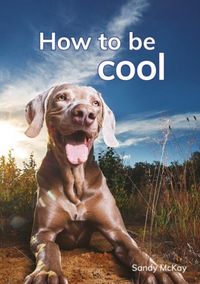 Produktbild: How to be cool