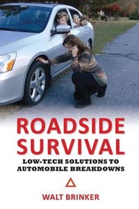 Produktbild: Roadside Survival