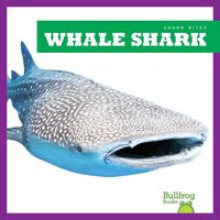 Produktbild: Whale Shark