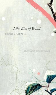 Produktbild: Like Bits of Wind