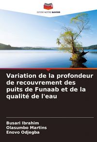 Produktbild: Variation de la profondeur de recouvrement des puits de Funaab et de la qualit&eacute; de l'eau