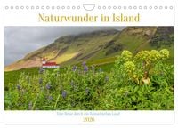 Produktbild: Naturwunder in Island (Wandkalender 2026 DIN A4 quer), CALVENDO Monatskalender