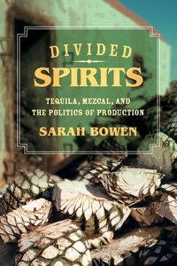 Produktbild: Divided Spirits