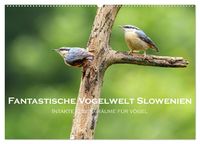 Produktbild: Fantastische Vogelwelt Slowenien (Wandkalender 2026 DIN A2 quer), CALVENDO Monatskalender