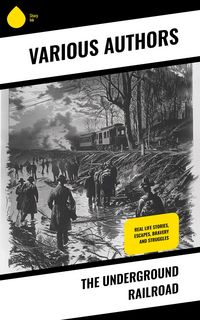 Produktbild: The Underground Railroad