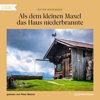 Produktbild: Als dem kleinen Maxel das Haus niederbrannte