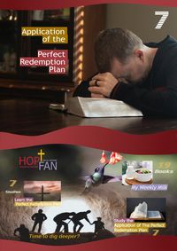 Produktbild: Application of the Perfect Redemption Plan 7