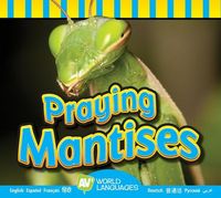 Produktbild: Praying Mantises