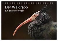 Produktbild: Der Waldrapp - Ein skurriler Vogel (Tischkalender 2026 DIN A5 quer), CALVENDO Monatskalender