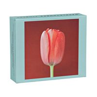 Produktbild: Mapplethorpe Flowers QuickNotes