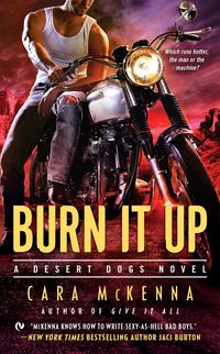 Produktbild: Burn It Up