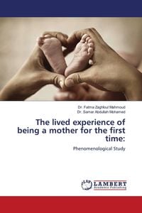Produktbild: The lived experience of being a mother for the first time: